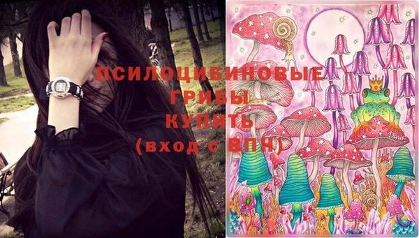 прущие крисы Гусиноозёрск